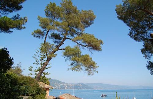 Pedale Appartement | Portofino Seaview Apartment, 50 meters from the beach, free parking, air conditioning