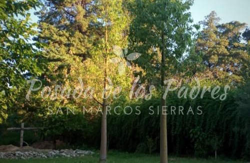 San Marcos Sierra Appartement | Posada de los Padres - LOS OLIVOS