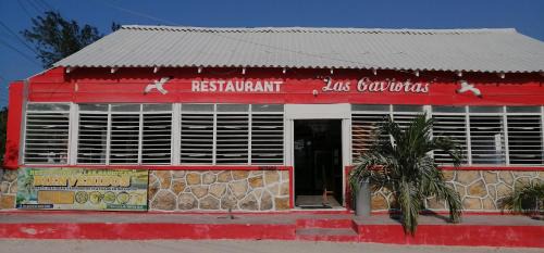 Rio Lagartos Hôtel | Posada Los Flamencos Las Coloradas Yucatán