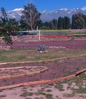 Barreal Hôtel | Posada Piuquén Suites De Montaña