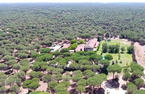 Pozal de Gallinas Hôtel | Posada Real del Pinar