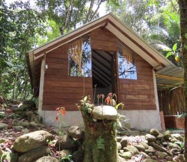 San Luis Hôtel | Posadas Entre El Bosque