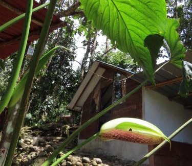 San Luis Autre | Posadas entre el bosque
