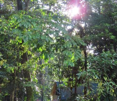 San Luis Autre | Posadas entre el bosque