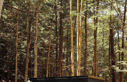 Catskill Cabine | Postcard Cabins Eastern Catskills