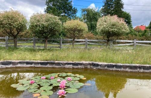 Linia Maison | Potęgówka wege Kaszuby