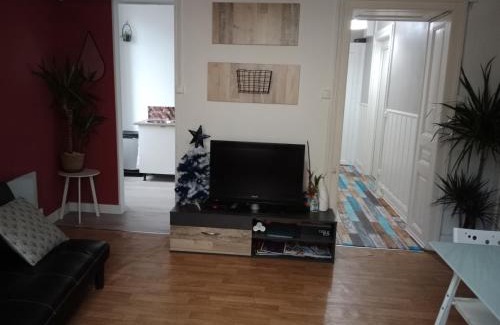 Luxeuil-les-Bains Appartement | Pounette, appartement T3 centre/thermes Luxeuil