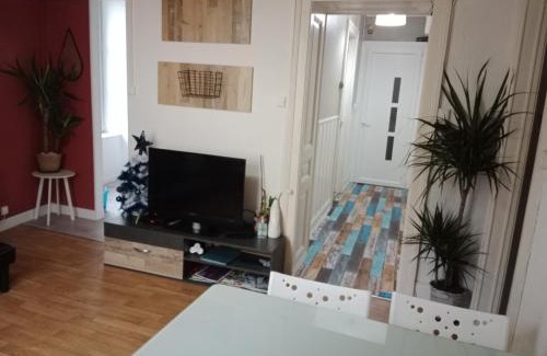 Luxeuil-les-Bains Appartement | Pounette, appartement T3 centre/thermes Luxeuil