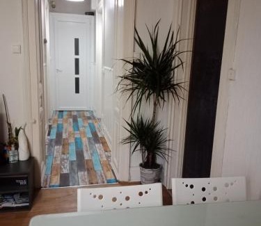 Luxeuil-les-Bains Appartement | Pounette, appartement T3 centre/thermes Luxeuil