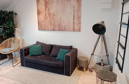 Luxeuil-les-Bains Appartement | Pounette, appartement T2, centre thermes Luxeuil