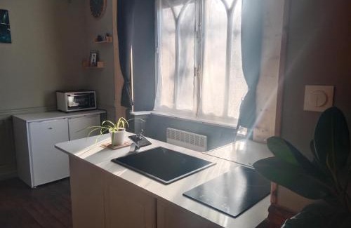 Luxeuil-les-Bains Appartement | Pounette T3 villa appt rdc 2 chambres thermes centre