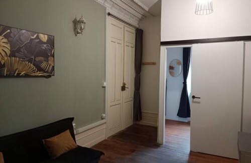 Luxeuil-les-Bains Appartement | Pounette, villa T2 RDC Thermes Centre Luxeuil