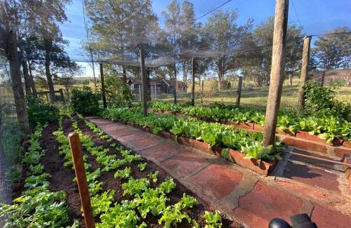 Ribeirao Claro Hôtel | Pousada Fazenda Pinhalzinho