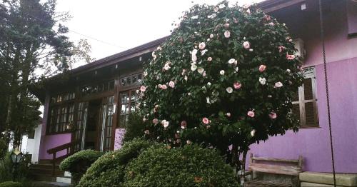 Tirol Hôtel | Pousada Gardenia Guest House