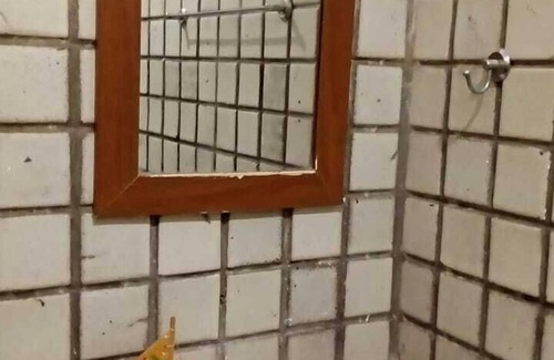 Maria Farinha Hôtel | Pousada La Floratta