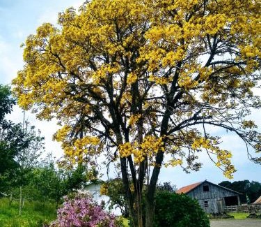 Bom Jardim da Serra Hôtel | Pousada Morro Grande