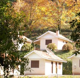 Flores da Cunha Hôtel | Pousada Parque das Pitangueiras