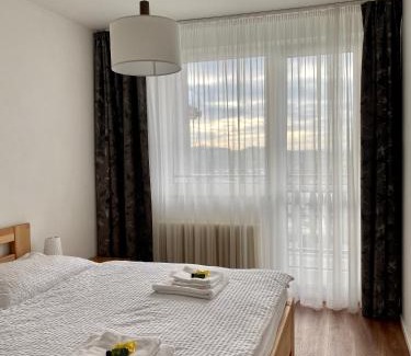 Nove Mesto na Morave Maison | Prázdninový dům Holubka