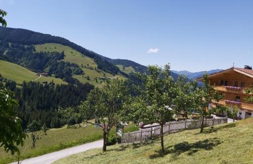 Wildschoenau Appartement | Prädastenhof