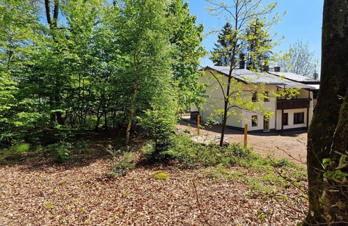 Pruemzurlay Maison | Prümzurlayer forest view