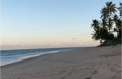 Praia do Forte Appartement | Praia do Forte- Iberostar- Ap Luxuoso 3 qts
