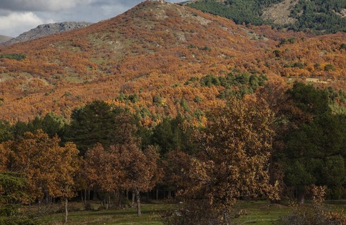 Rascafria Chalet De Ski | Preciosa Casa de Campo Para Disfrutar del Valle del Lozoya con un Inmenso Jardín