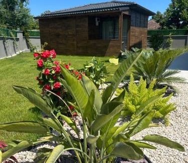 Tekirova Appartement | Premium park rezidans