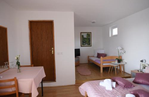 Zupanja Hôtel | Prenoćište Džinić