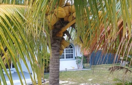 Regency Park Maison | Prestige relaxation