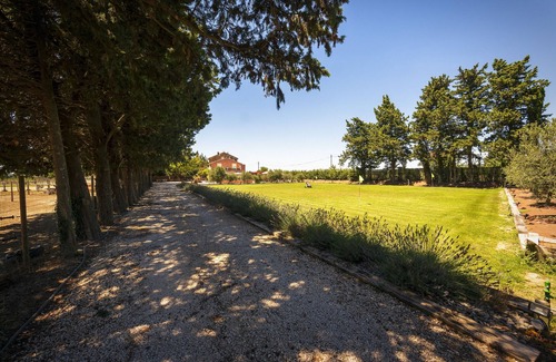 Courthezon Maison | PRESTIGIOUS HOUSE "THE HOUSE OF VENTOUX"