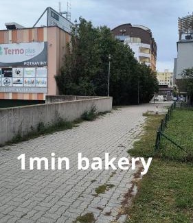 Karlova Ves Appartement | Pretty Nice view Apartment, Private Parking, 8min to center by car