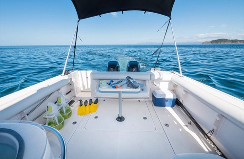 Coco Location De Bateaux | Pretty Vane 32'' ProLine-Walk Around-A/C Cabin