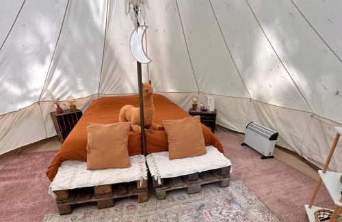 Hoogstraten Autre | Privé Alpaca Glamping Hoogstraten