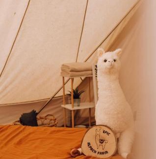 Hoogstraten Autre | Privé Alpaca Glamping Hoogstraten