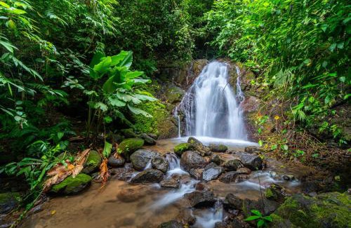 Matapalo Maison | Privacy-waterfall-pool-sleeps 8-near Beach