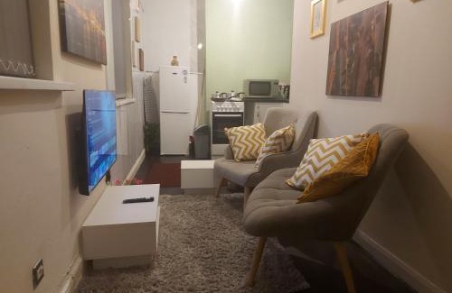Birmingham Appartement | Private 1 Bed Flat Near The Aston Villa Park