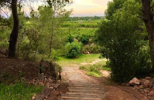 Betera Maison | Private bungalow in an ecological farm 30 minutes from Valencia and beaches.