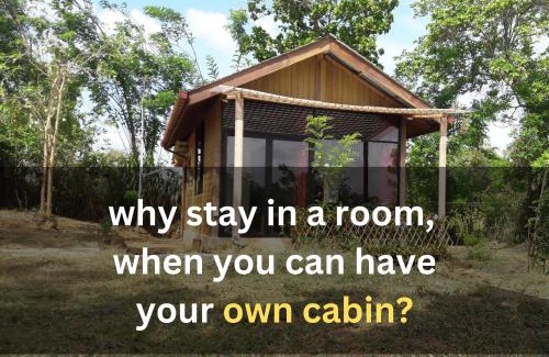 Sigiriya Appartement | Private Cabin and private Kitchen - Experience serenity, and beautiful nature