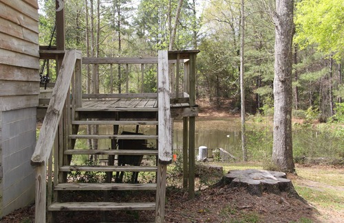 Jack Cabine | Cozy 2-bedroom cabin or hunting lodge near Elba, Alabama with pond.
