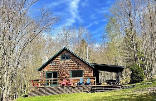 Fleischmanns Cabine | Private Cabin Retreat on 10 Acres! Firepit, custom kitchen, endless green beauty