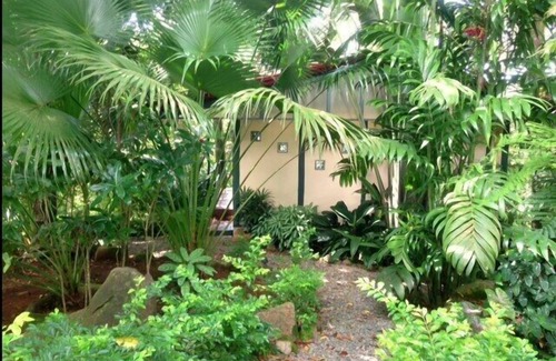 Dominical Cottage | Cottage privée Niché dans la jungle, Au-dessus de la côte rocheuse.