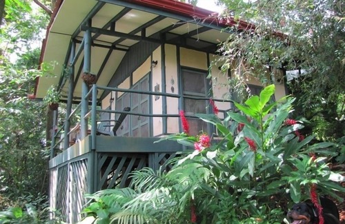 Dominical Cottage | Cottage privée Niché dans la jungle, Au-dessus de la côte rocheuse.