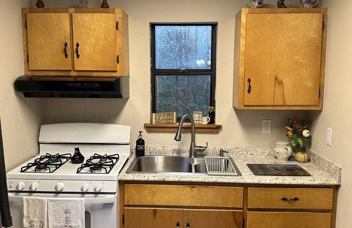 Unaka Cabine | Private cozy cabin in the woods with great view!