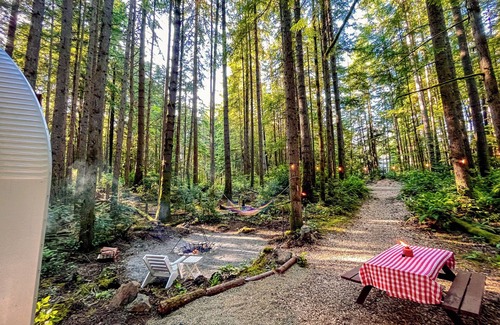 Southworth Cabine | Private Forest Glamping Cabin in Beautiful Port Orchard