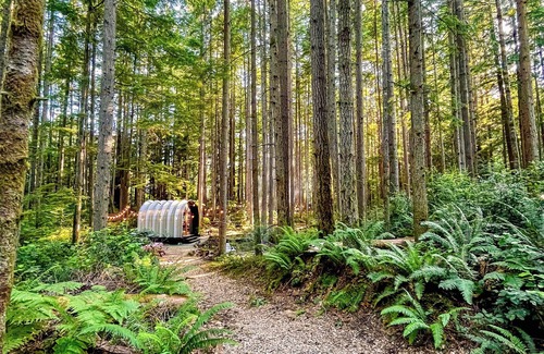 Southworth Cabine | Private Forest Glamping Cabin in Beautiful Port Orchard