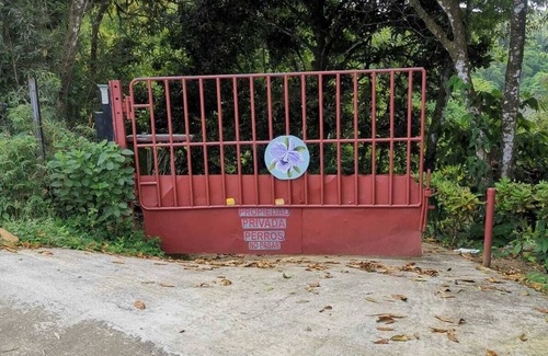 Platanillo Maison | Private House With Gorgeous Jungle View Lookout Near Nauyaca Waterfalls