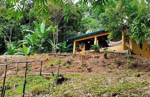 Platanillo Maison | Private House With Gorgeous Jungle View Lookout Near Nauyaca Waterfalls