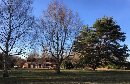 Neung-sur-Beuvron Maison | Pavillon de chasse rénové -piscine privative - au coeur Sologne des étangs