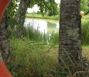 Bommiers Maison | Private Lake - Pool - Tour de France Route