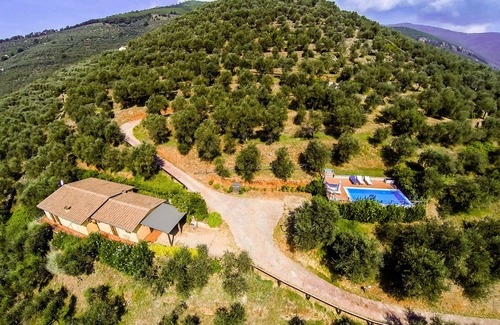 Calci Villa | PRIVATE POOL - FARMHOUSE FATTORIA LA PIEVE - VILLA OLEANDRO, 8 Km from Pisa
